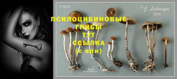 мдпв Пестово