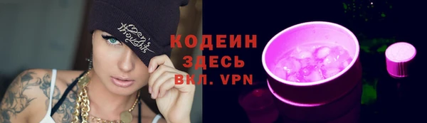 мдпв Пестово