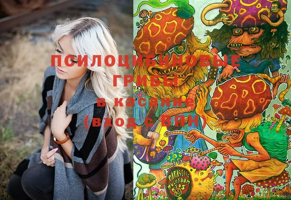 мдпв Пестово
