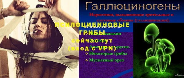 мдпв Пестово