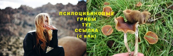 a pvp Переславль-Залесский