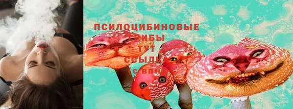 мдпв Пестово