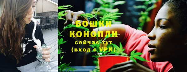 мдпв Пестово