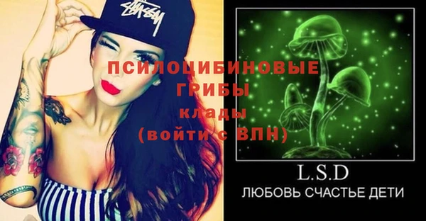мдпв Пестово
