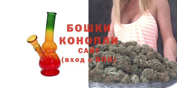 мдпв Пестово