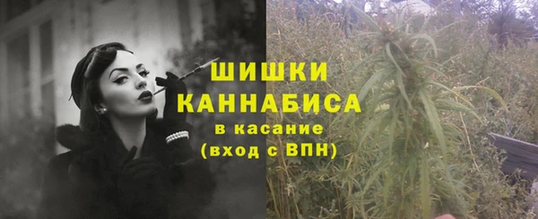 мдпв Пестово