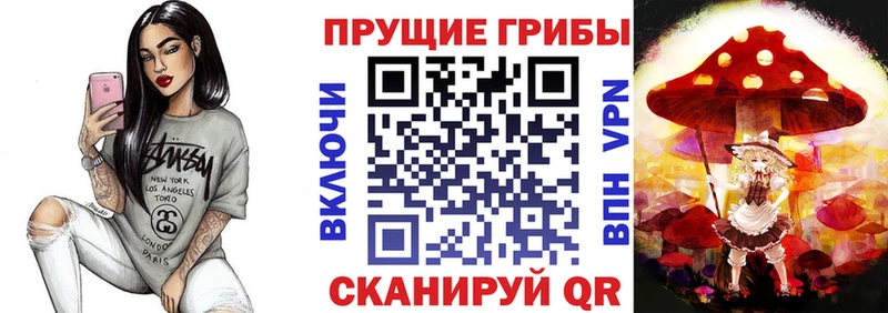 нарко площадка наркотические препараты  Лебедянь  Псилоцибиновые грибы MAGIC MUSHROOMS  продажа наркотиков 